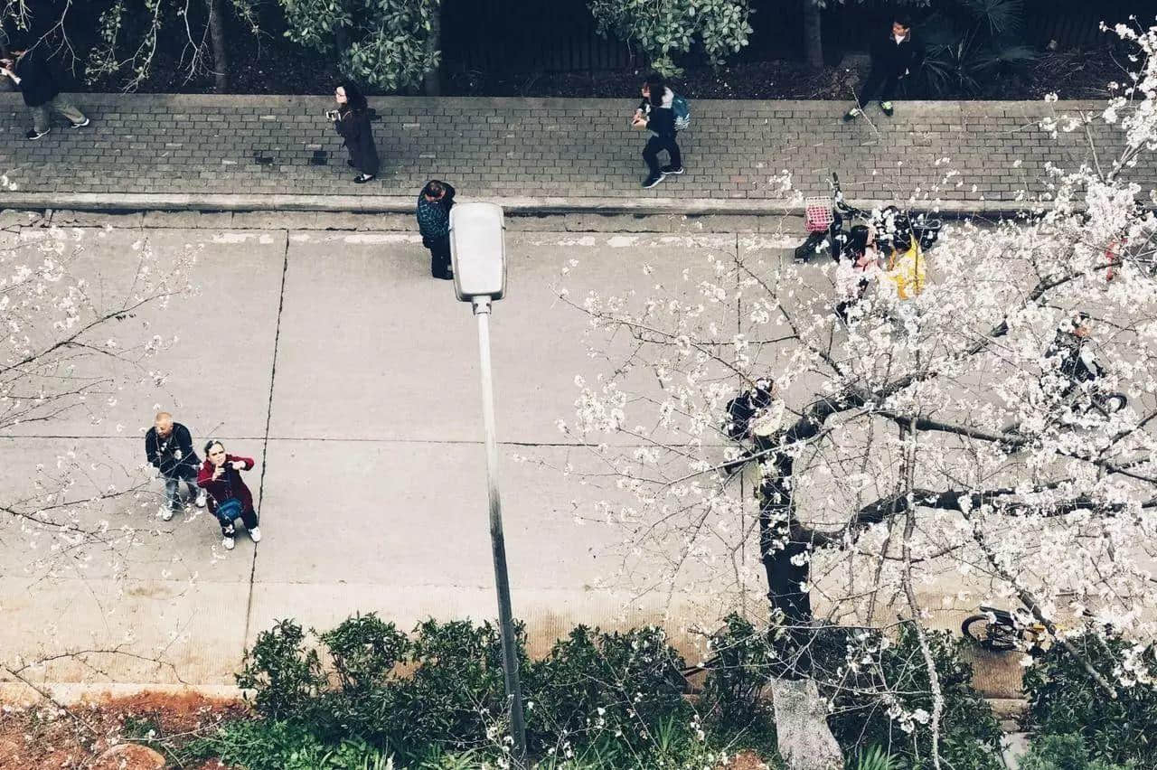 武汉印象 武汉印象