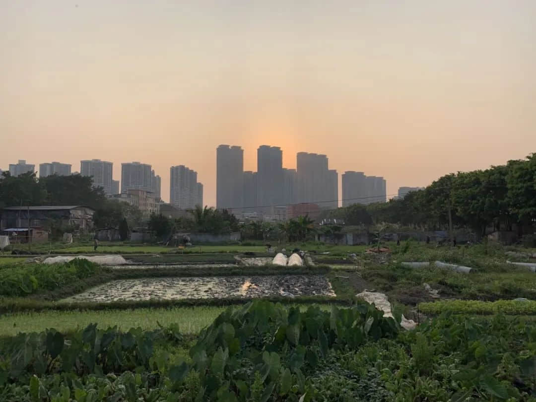 上帝视角的广州是什么模样? 上帝视角的广州是什么模样?