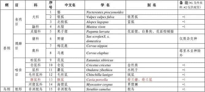 广东“野味”，该不该被一棍子打死？