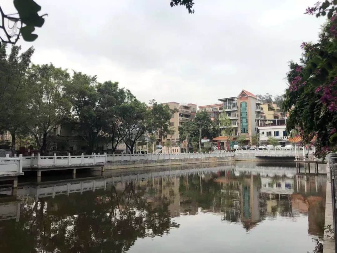 黄埔军校再热闹,也救不了落寞的长洲岛 黄埔军校再热闹,也救不了落寞的长洲岛