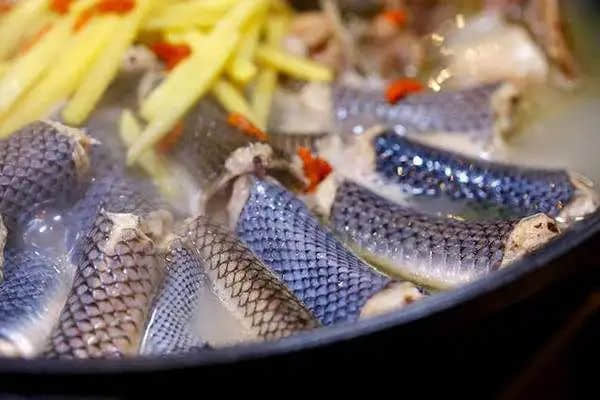 广东“野味”，该不该被一棍子打死？