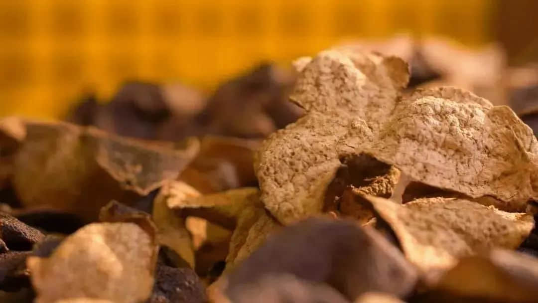 新会除咗陈皮,你仲会谂到咩? 新会除咗陈皮,你仲会谂到咩?