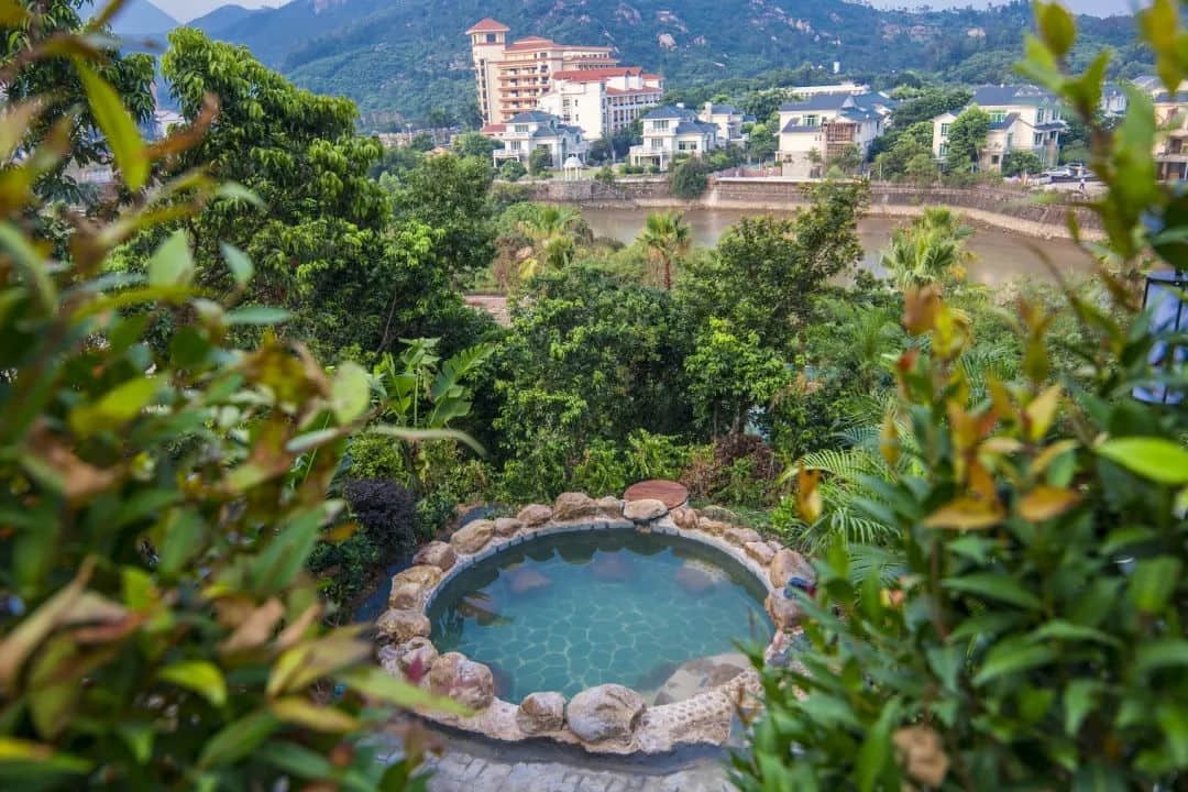 新会除咗陈皮,你仲会谂到咩? 新会除咗陈皮,你仲会谂到咩?