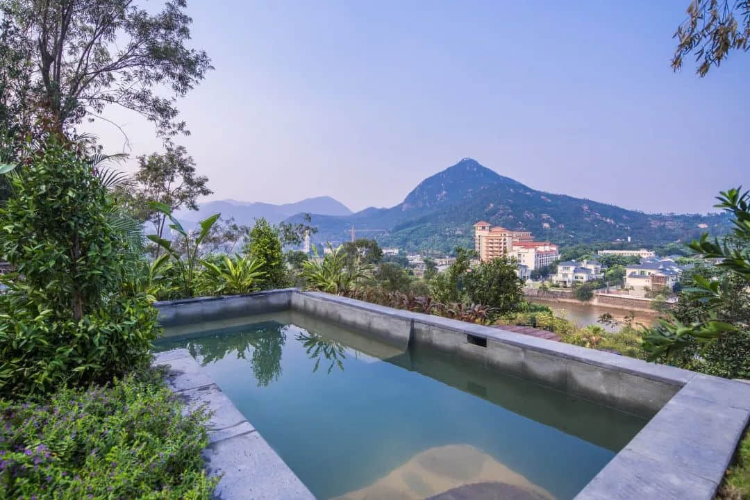 新会除咗陈皮,你仲会谂到咩? 新会除咗陈皮,你仲会谂到咩?