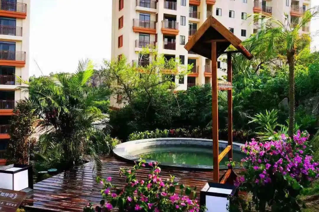 新会除咗陈皮,你仲会谂到咩? 新会除咗陈皮,你仲会谂到咩?