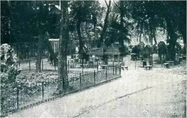 广州儿童公园编年史 广州儿童公园编年史