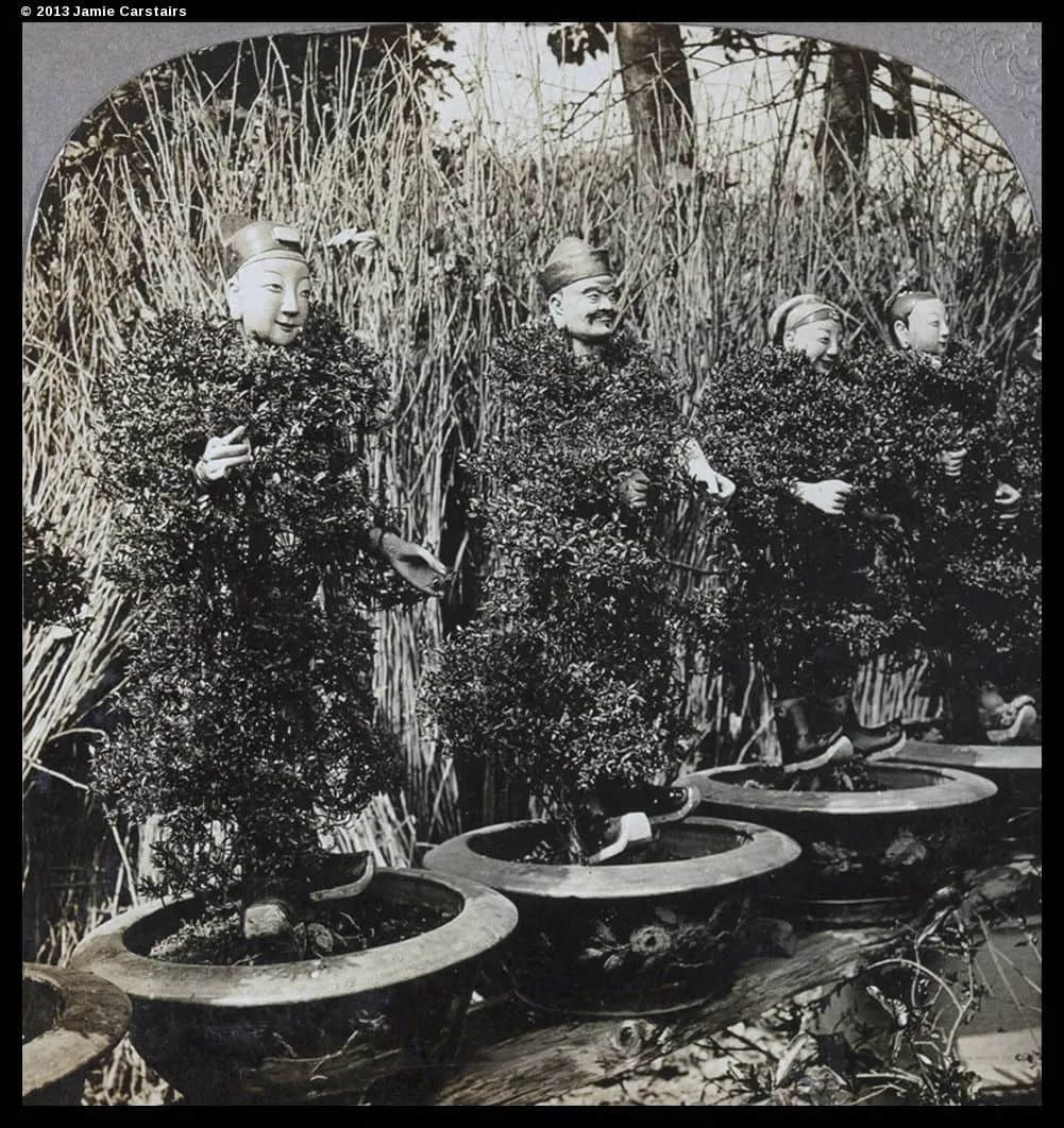 從舊照片看廣州從唐帽向西帽的轉變 從舊照片看廣州從唐帽向西帽的轉變