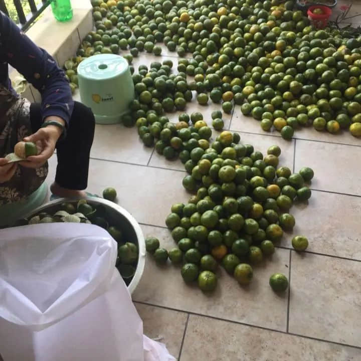 新会除咗陈皮,你仲会谂到咩? 新会除咗陈皮,你仲会谂到咩?