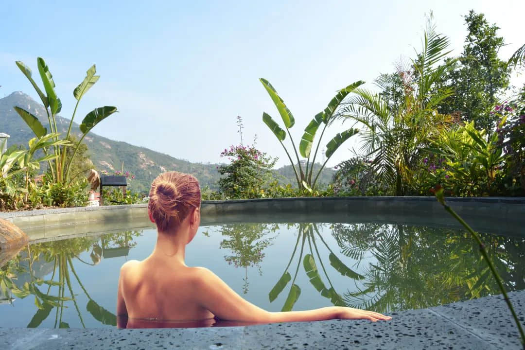 新会除咗陈皮,你仲会谂到咩? 新会除咗陈皮,你仲会谂到咩?