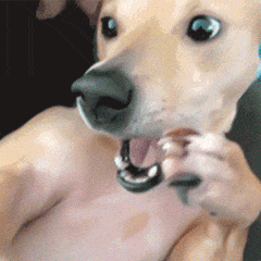 e+more丨拥有乘风破浪的决心,也要有劈荆斩刺的健康身体 e+more丨拥有乘风破浪的决心,也要有劈荆斩刺的健康身体