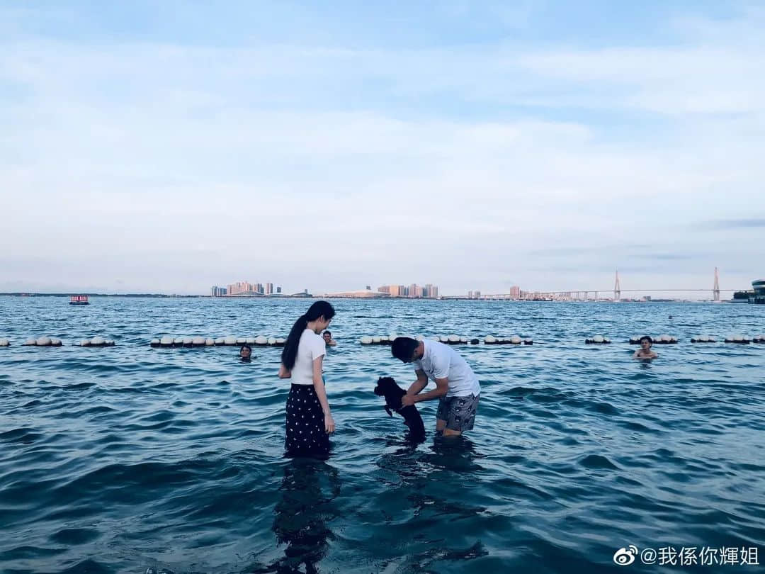 在湛江,我们找回广州失去的隐秘角落 在湛江,我们找回广州失去的隐秘角落