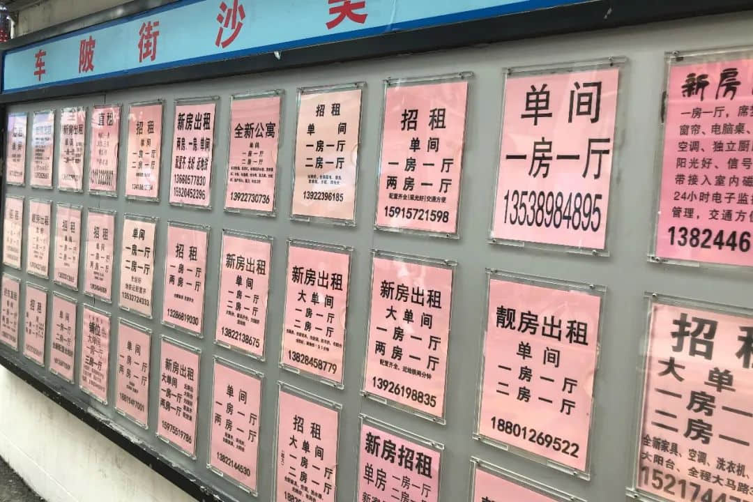 车陂2020:没有龙舟,生活一样火热 车陂2020:没有龙舟,生活一样火热