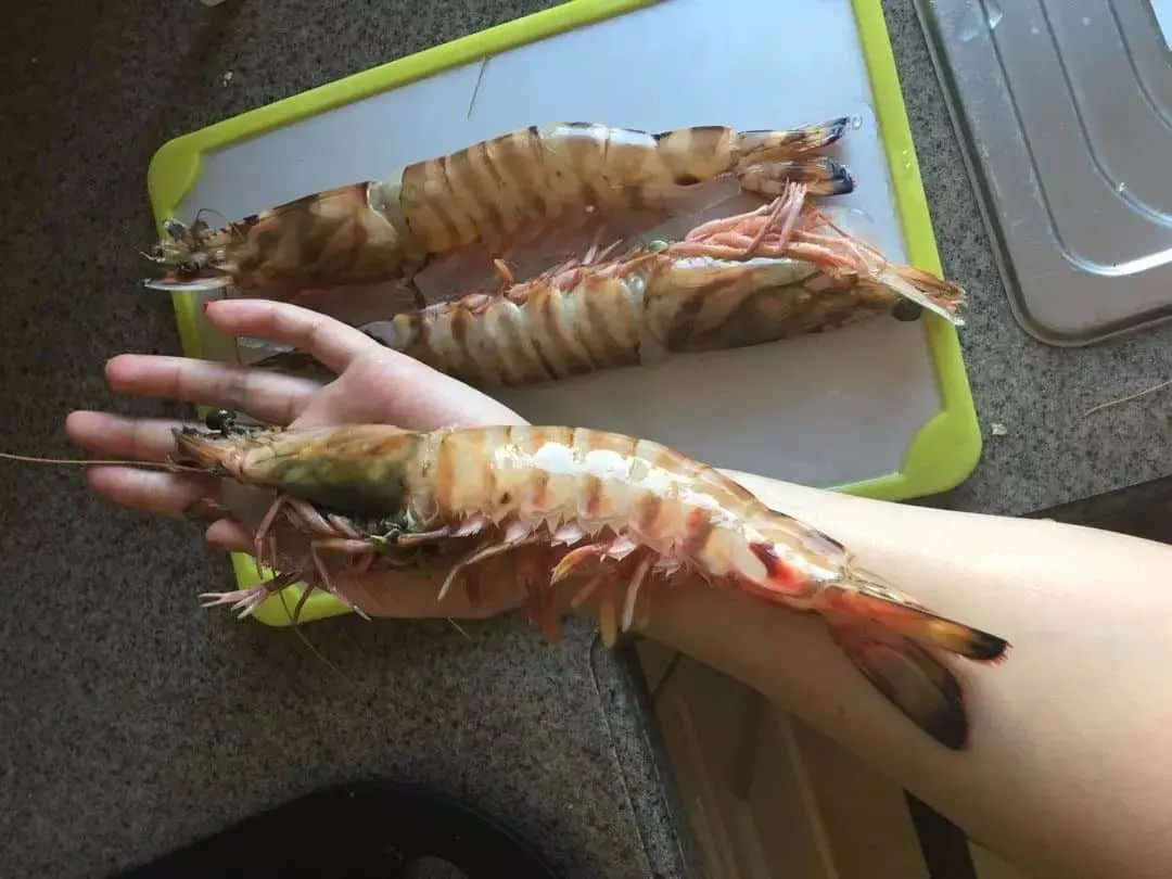 在湛江,我们找回广州失去的隐秘角落 在湛江,我们找回广州失去的隐秘角落