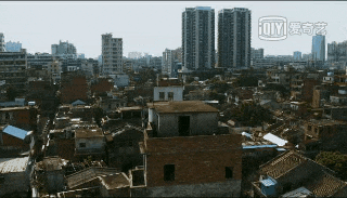 在湛江,我们找回广州失去的隐秘角落 在湛江,我们找回广州失去的隐秘角落