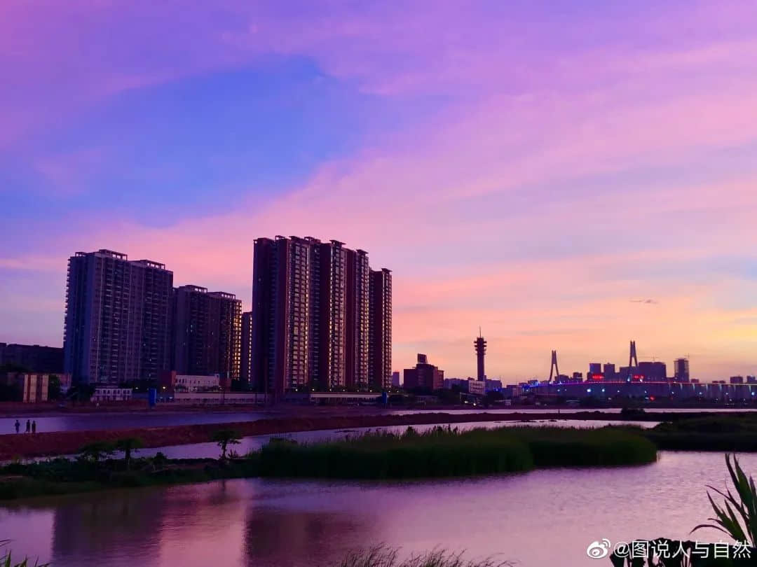 在湛江,我们找回广州失去的隐秘角落 在湛江,我们找回广州失去的隐秘角落