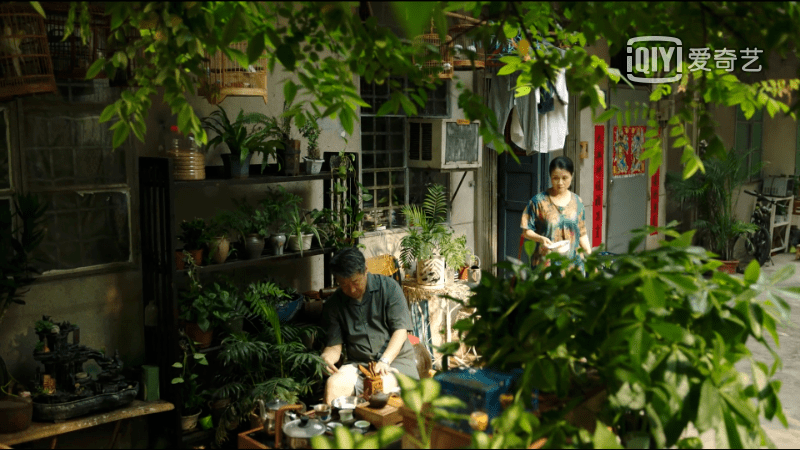 在湛江,我们找回广州失去的隐秘角落 在湛江,我们找回广州失去的隐秘角落