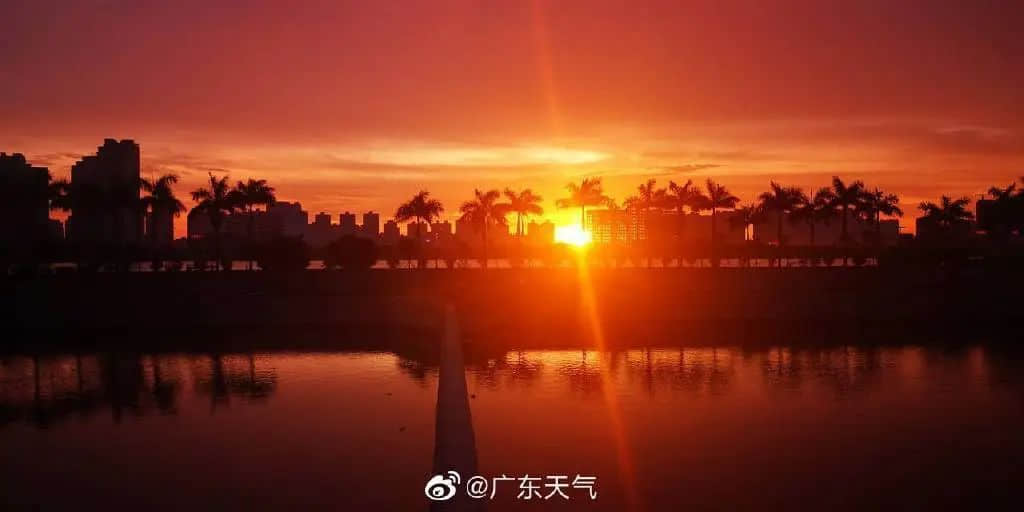 在湛江,我们找回广州失去的隐秘角落 在湛江,我们找回广州失去的隐秘角落