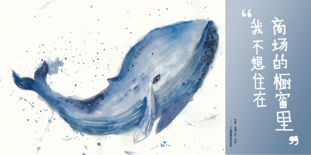 展览预告 | “对不起,我爱你”,我们想对商场里的动物说...... 展览预告 | “对不起,我爱你”,我们想对商场里的动物说......