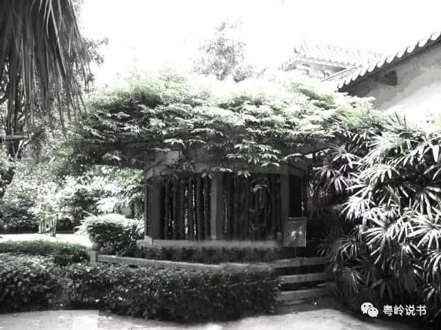 与和尚为伴的苦命少女 与和尚为伴的苦命少女