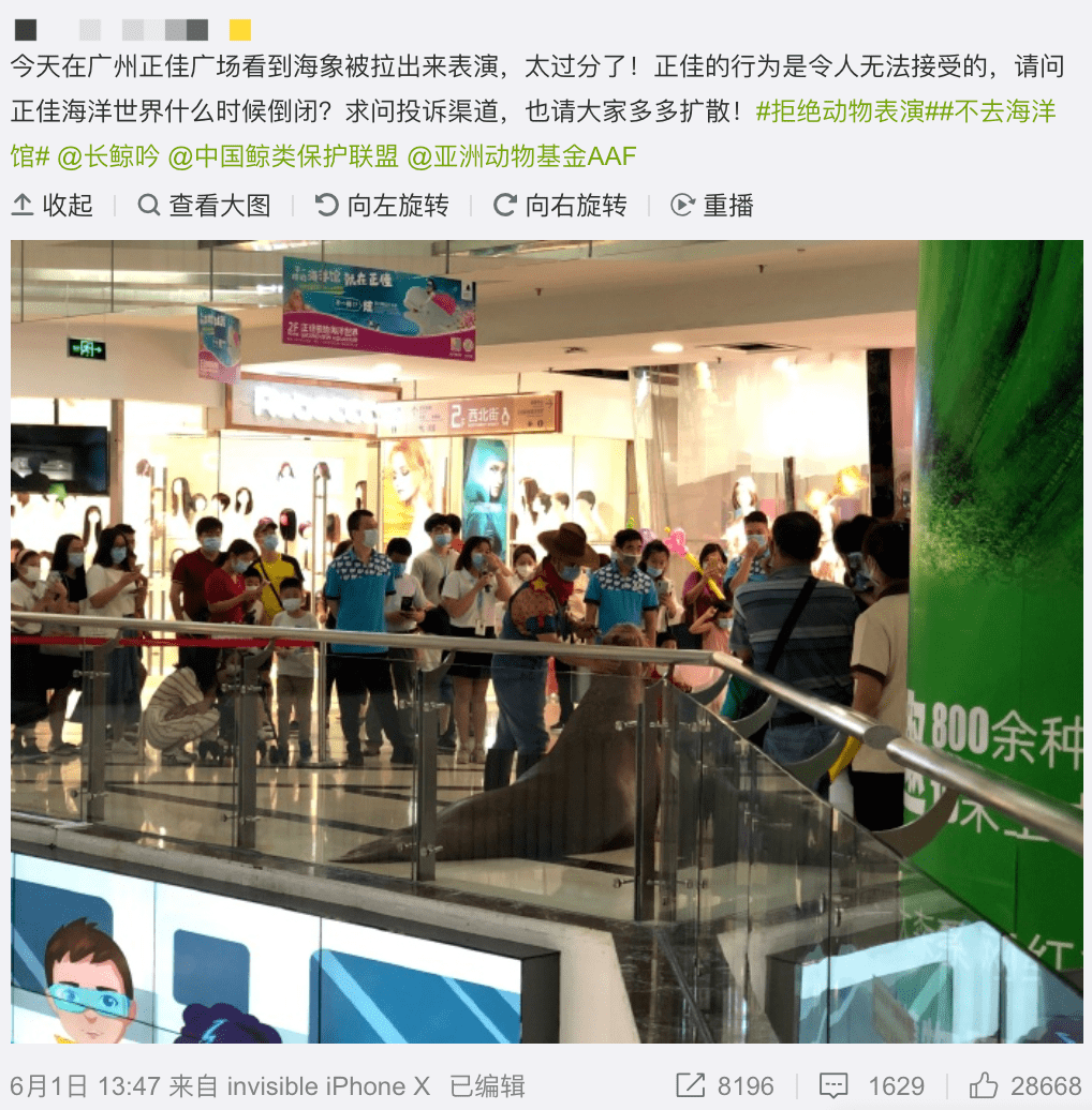 展览预告 | “对不起,我爱你”,我们想对商场里的动物说...... 展览预告 | “对不起,我爱你”,我们想对商场里的动物说......