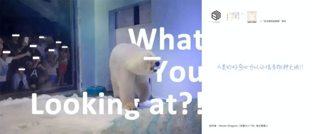 展览预告 | “对不起,我爱你”,我们想对商场里的动物说...... 展览预告 | “对不起,我爱你”,我们想对商场里的动物说......