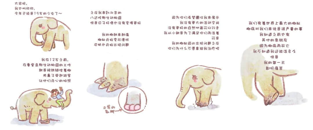 展览预告 | “对不起,我爱你”,我们想对商场里的动物说...... 展览预告 | “对不起,我爱你”,我们想对商场里的动物说......