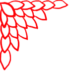 人与兽的身体接触 人与兽的身体接触