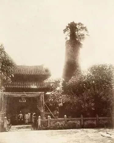 五层楼上话当年:广州蕃坊里发生了什么 五层楼上话当年:广州蕃坊里发生了什么