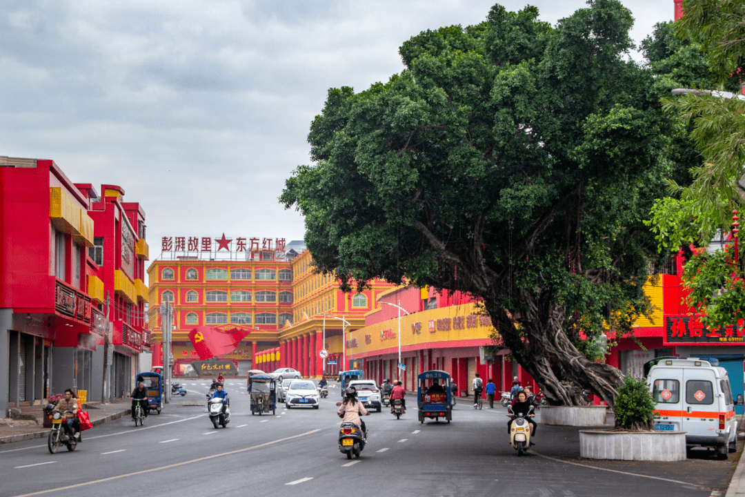 混沌的南方 混沌的南方