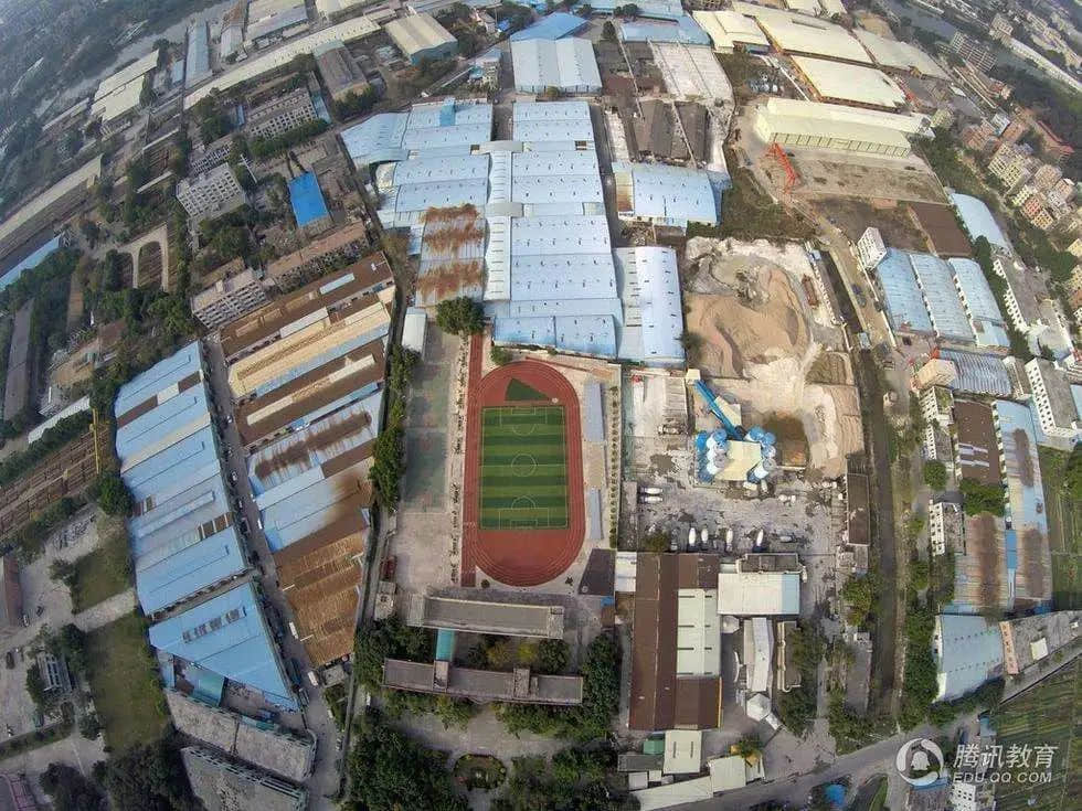 白云区:当“野孩子”遭遇“中年危机” 白云区:当“野孩子”遭遇“中年危机”