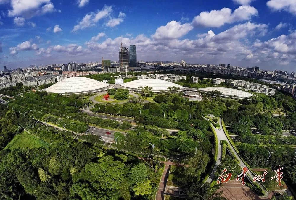 白云区:当“野孩子”遭遇“中年危机” 白云区:当“野孩子”遭遇“中年危机”