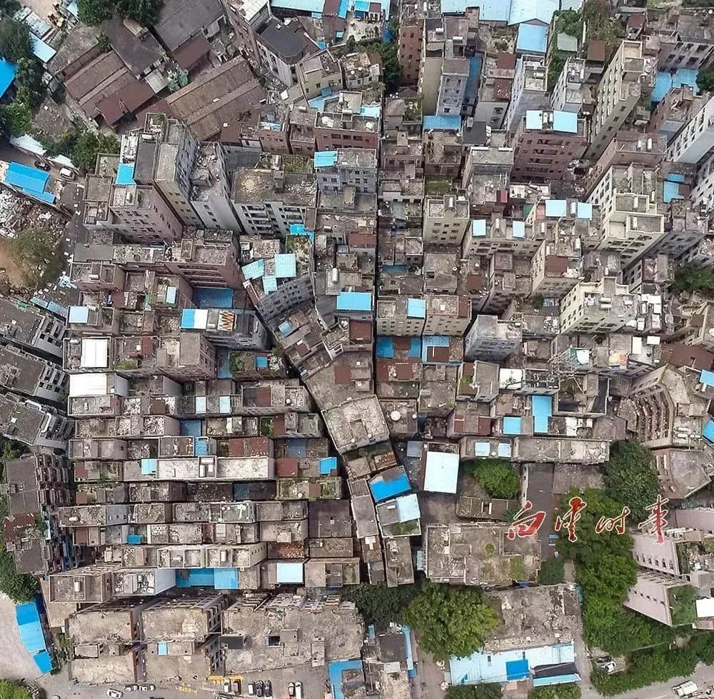 白云区:当“野孩子”遭遇“中年危机” 白云区:当“野孩子”遭遇“中年危机”