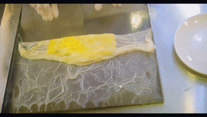 什么才是广吹的正确姿势? 什么才是广吹的正确姿势?