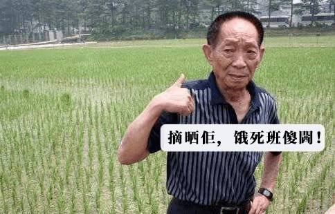 粤语键盘侠：“没有十级证书，你不配讲粤语！”