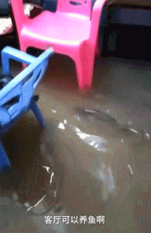 广州人未解之谜:为何一提早茶,外地食客总爱推荐「点都德」? 广州人未解之谜:为何一提早茶,外地食客总爱推荐「点都德」?