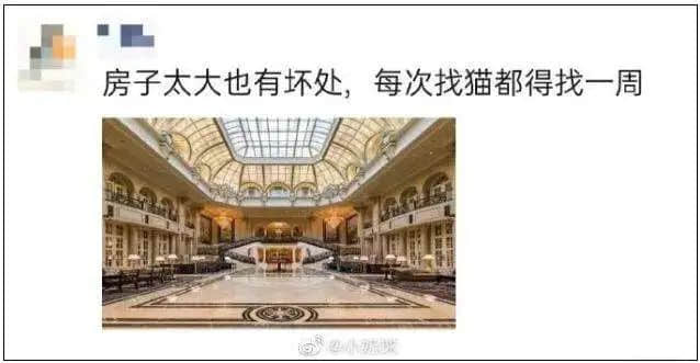 当粤语遇上凡尔赛,个个广东人都系扮嘢师祖! 当粤语遇上凡尔赛,个个广东人都系扮嘢师祖!