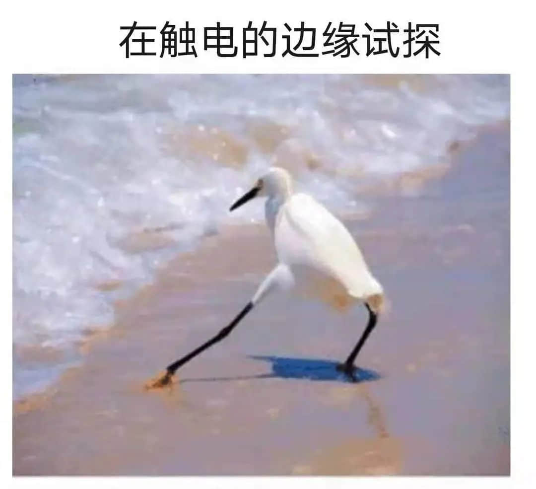 2021开年最大骗局:广州下雪! 2021开年最大骗局:广州下雪!