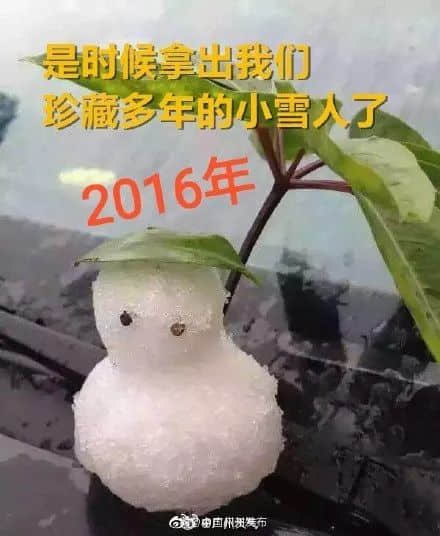 2021开年最大骗局:广州下雪! 2021开年最大骗局:广州下雪!
