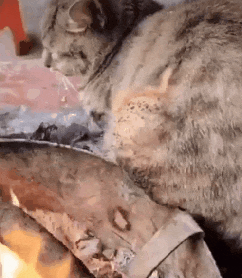 2021开年最大骗局:广州下雪! 2021开年最大骗局:广州下雪!