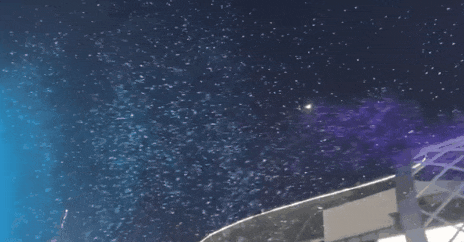 2021开年最大骗局:广州下雪! 2021开年最大骗局:广州下雪!