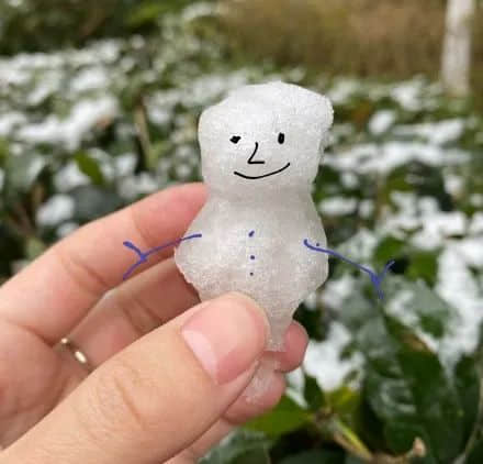 2021开年最大骗局:广州下雪! 2021开年最大骗局:广州下雪!