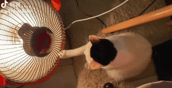 2021开年最大骗局:广州下雪! 2021开年最大骗局:广州下雪!