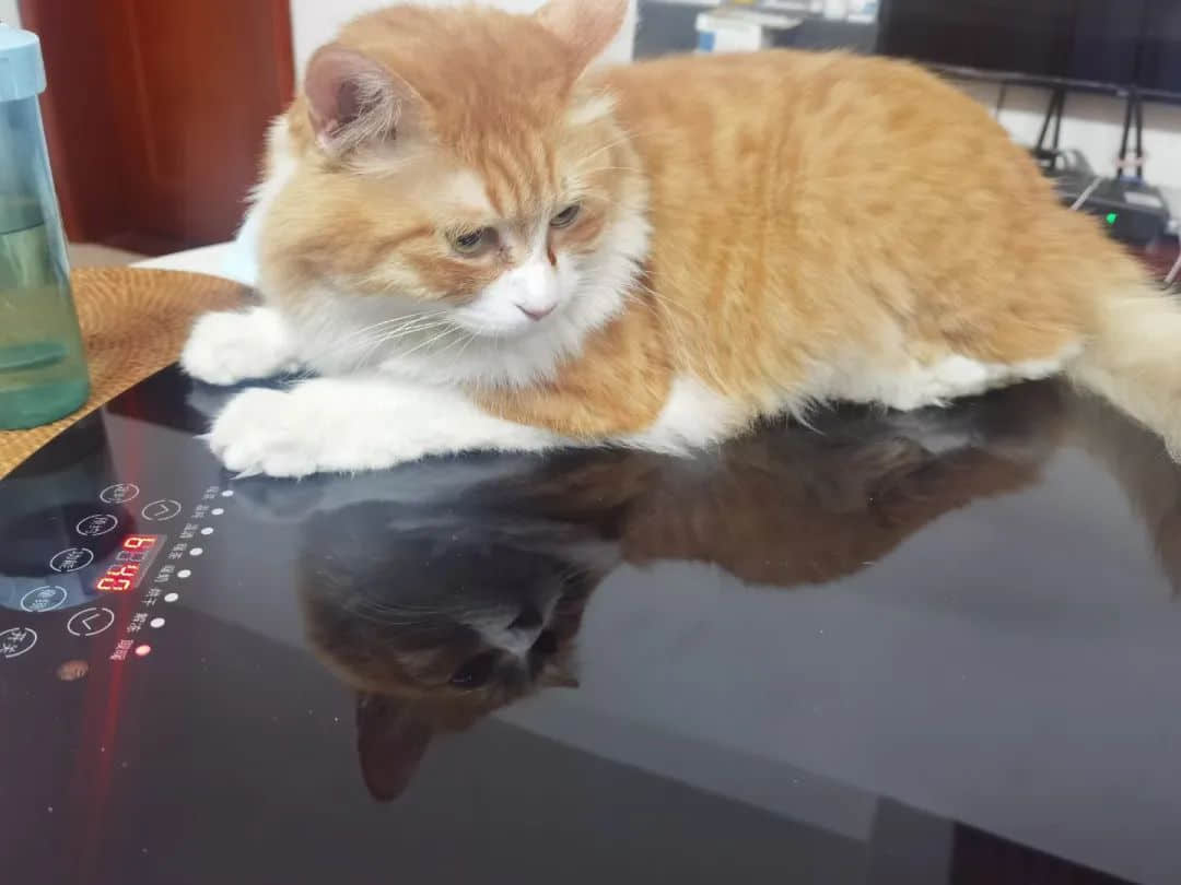 2021开年最大骗局:广州下雪! 2021开年最大骗局:广州下雪!