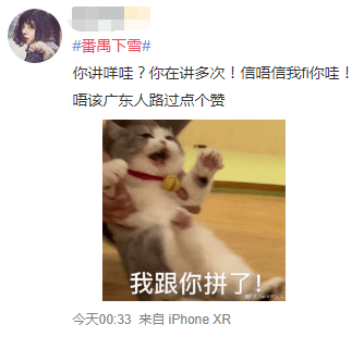 2021开年最大骗局:广州下雪! 2021开年最大骗局:广州下雪!