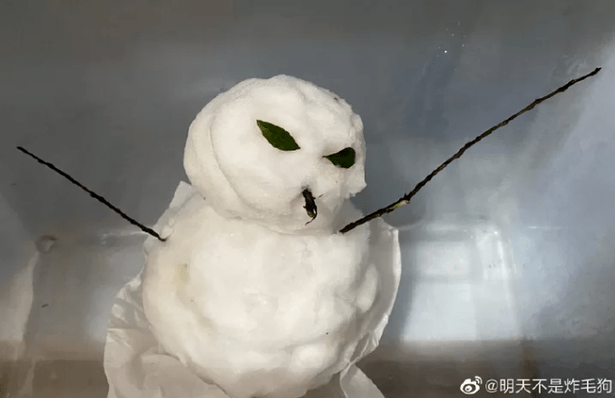 2021开年最大骗局:广州下雪! 2021开年最大骗局:广州下雪!