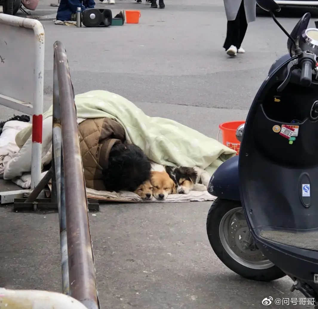 2021开年最大骗局:广州下雪! 2021开年最大骗局:广州下雪!