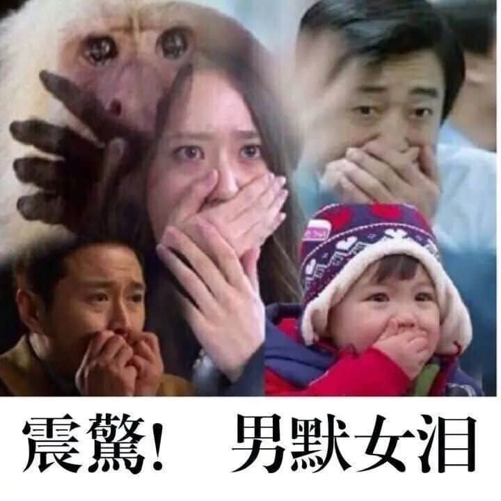 “嘉欣”风光不再!现在的广东父母竟然最爱用这个名字...... “嘉欣”风光不再!现在的广东父母竟然最爱用这个名字......