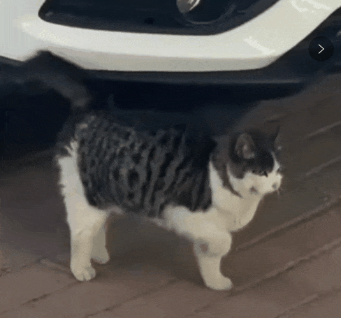 2021开年最大骗局:广州下雪! 2021开年最大骗局:广州下雪!