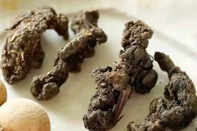 2021年是“盲年”，广东人不宜结婚？为何会有这种现象？