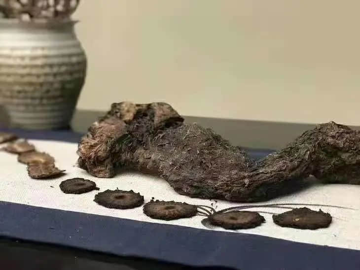 为什么一过完春节,打工人就犯困? 为什么一过完春节,打工人就犯困?